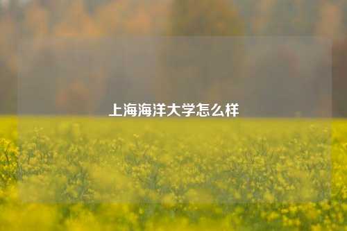 上海海洋大学怎么样