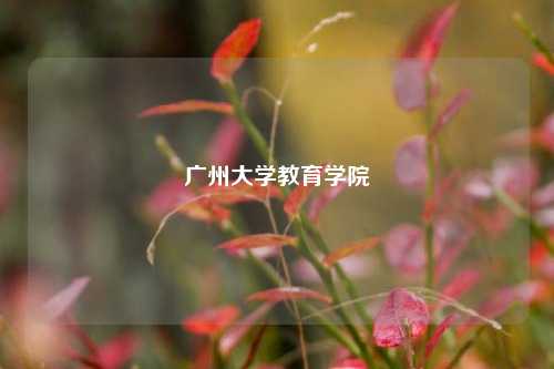 广州大学教育学院