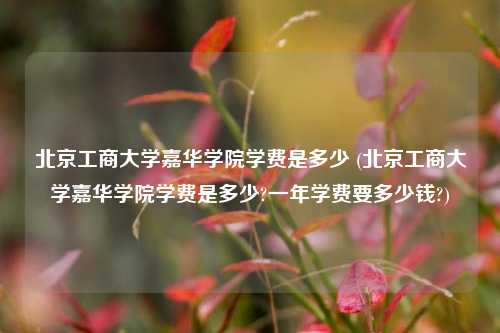 北京工商大学嘉华学院学费是多少 (北京工商大学嘉华学院学费是多少?一年学费要多少钱?)