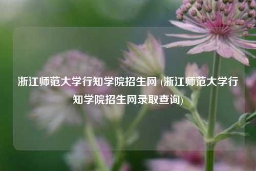 浙江师范大学行知学院招生网 (浙江师范大学行知学院招生网录取查询)