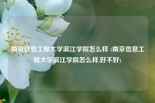 南京信息工程大学滨江学院怎么样 (南京信息工程大学滨江学院怎么样,好不好)