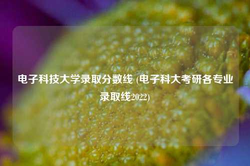 电子科技大学录取分数线 (电子科大考研各专业录取线2022)