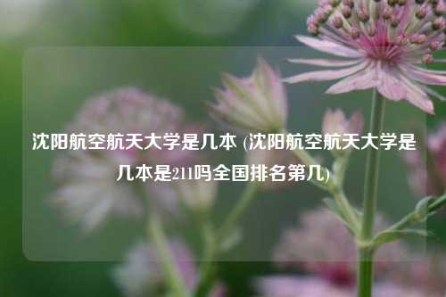 沈阳航空航天大学是几本 (沈阳航空航天大学是几本是211吗全国排名第几)