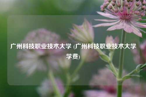 广州科技职业技术大学 (广州科技职业技术大学学费)