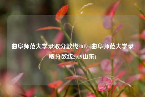 曲阜师范大学录取分数线2019 (曲阜师范大学录取分数线2019山东)