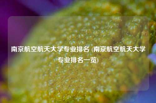 南京航空航天大学专业排名 (南京航空航天大学专业排名一览)