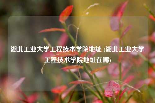 湖北工业大学工程技术学院地址 (湖北工业大学工程技术学院地址在哪)