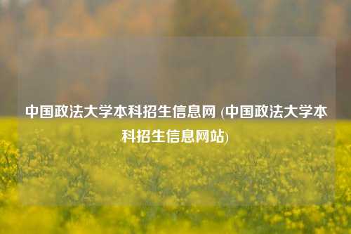 中国政法大学本科招生信息网 (中国政法大学本科招生信息网站)