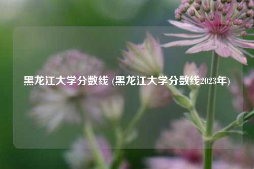 黑龙江大学分数线 (黑龙江大学分数线2023年)
