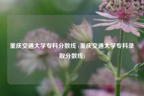 重庆交通大学专科分数线 (重庆交通大学专科录取分数线)
