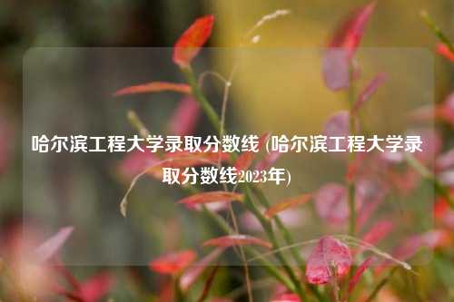 哈尔滨工程大学录取分数线 (哈尔滨工程大学录取分数线2023年)