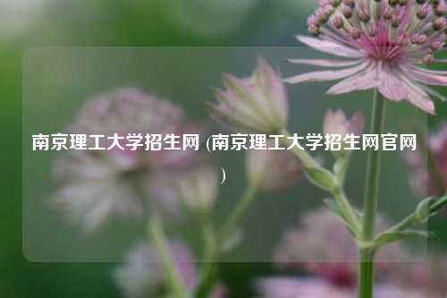 南京理工大学招生网 (南京理工大学招生网官网)