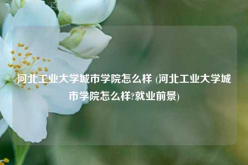 河北工业大学城市学院怎么样 (河北工业大学城市学院怎么样?就业前景)