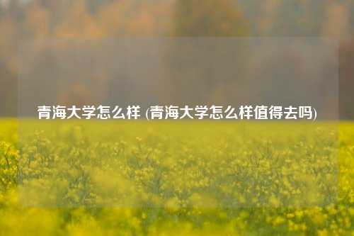 青海大学怎么样 (青海大学怎么样值得去吗)