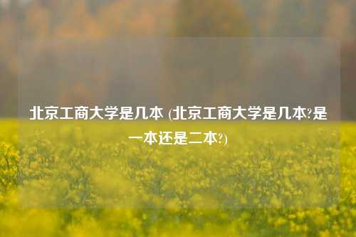 北京工商大学是几本 (北京工商大学是几本?是一本还是二本?)