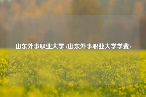 山东外事职业大学 (山东外事职业大学学费)