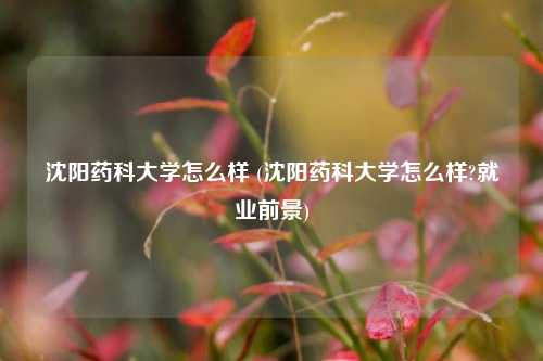 沈阳药科大学怎么样 (沈阳药科大学怎么样?就业前景)