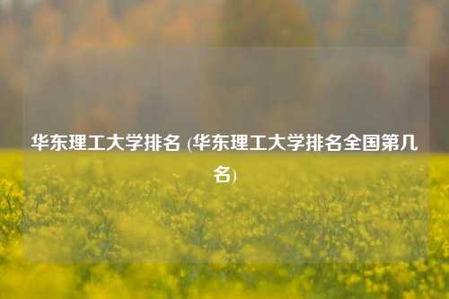 华东理工大学排名 (华东理工大学排名全国第几名)