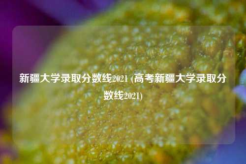 新疆大学录取分数线2021 (高考新疆大学录取分数线2021)