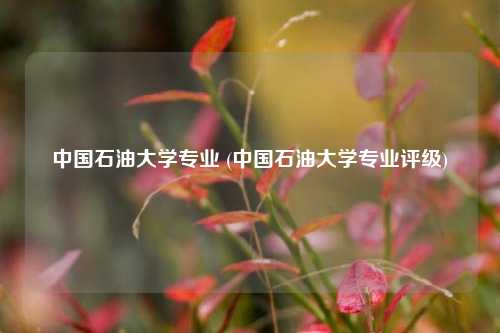 中国石油大学专业 (中国石油大学专业评级)