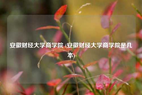 安徽财经大学商学院 (安徽财经大学商学院是几本)