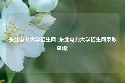 东北电力大学招生网 (东北电力大学招生网录取查询)