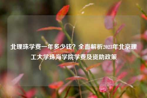 北理珠学费一年多少钱？全面解析2023年北京理工大学珠海学院学费及资助政策