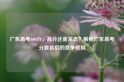 广东高考600分，高分还是常态？解析广东高考分数背后的竞争格局