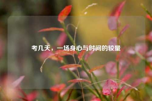 考几天，一场身心与时间的较量