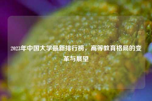 2023年中国大学最新排行榜，高等教育格局的变革与展望