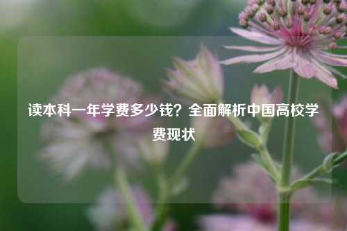 读本科一年学费多少钱？全面解析中国高校学费现状