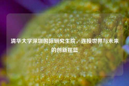 清华大学深圳国际研究生院，连接世界与未来的创新摇篮