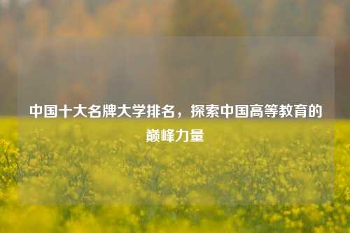 中国十大名牌大学排名，探索中国高等教育的巅峰力量