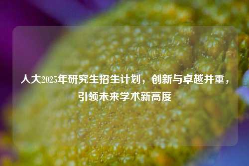 人大2025年研究生招生计划，创新与卓越并重，引领未来学术新高度