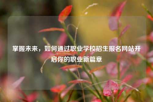 掌握未来，如何通过职业学校招生报名网站开启你的职业新篇章
