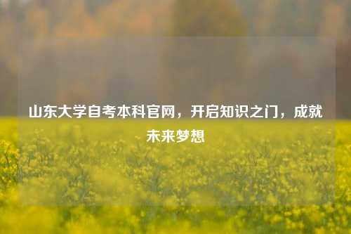 山东大学自考本科官网，开启知识之门，成就未来梦想