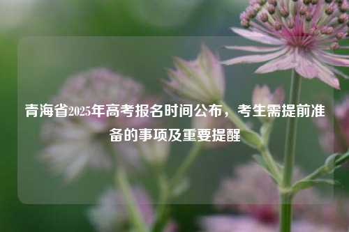 青海省2025年高考报名时间公布，考生需提前准备的事项及重要提醒