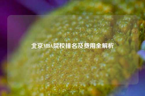 北京MBA院校排名及费用全解析