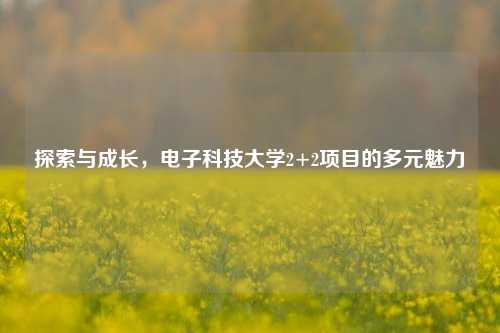 探索与成长，电子科技大学2+2项目的多元魅力