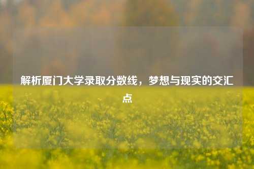 解析厦门大学录取分数线，梦想与现实的交汇点