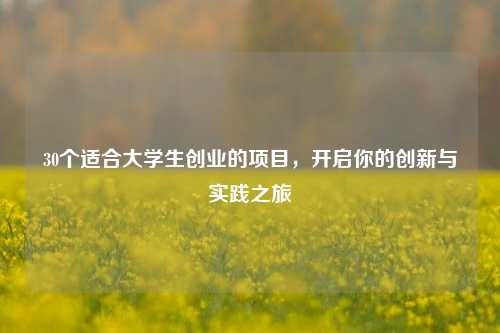 30个适合大学生创业的项目，开启你的创新与实践之旅