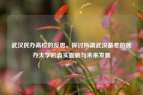 武汉民办高校的反思，探讨所谓武汉最差的民办大学的真实面貌与未来发展