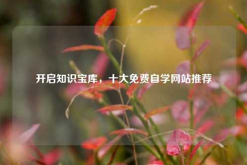 开启知识宝库，十大免费自学网站推荐
