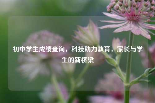 初中学生成绩查询，科技助力教育，家长与学生的新桥梁