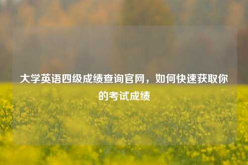 大学英语四级成绩查询官网，如何快速获取你的考试成绩