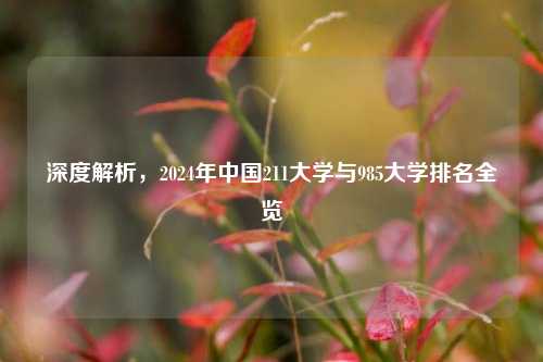 深度解析，2024年中国211大学与985大学排名全览