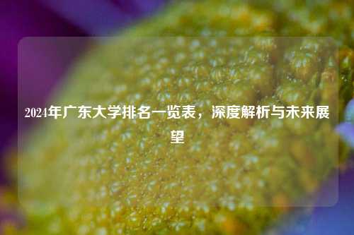 2024年广东大学排名一览表，深度解析与未来展望