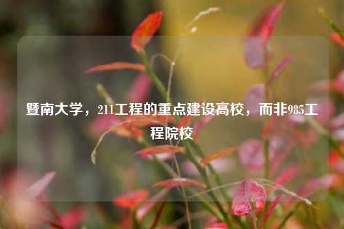 暨南大学，211工程的重点建设高校，而非985工程院校