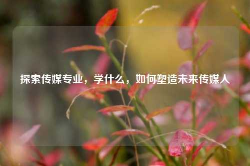 探索传媒专业，学什么，如何塑造未来传媒人