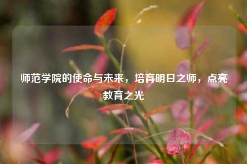 师范学院的使命与未来，培育明日之师，点亮教育之光
